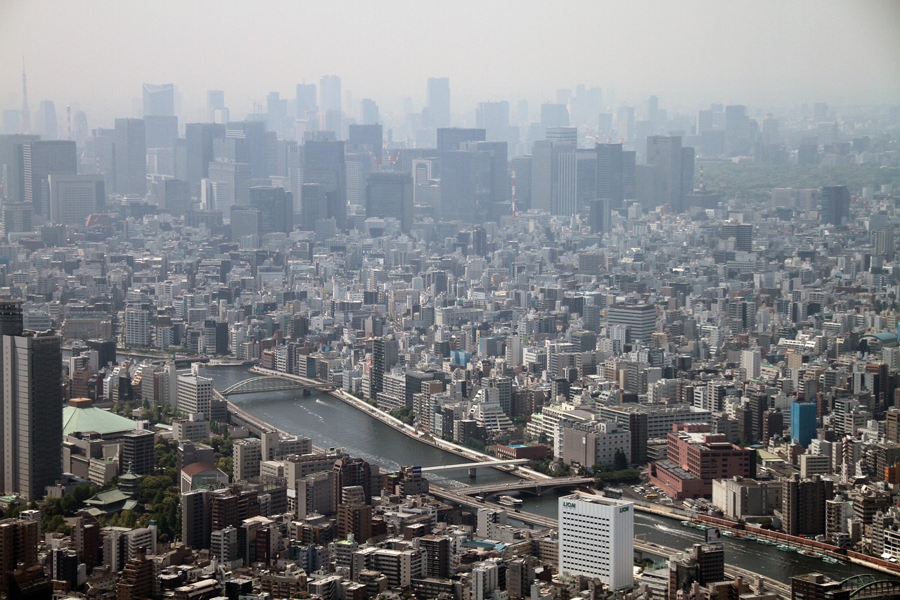 国际!管家婆一码中一肖2025,2025年新澳门正版内部_影响势力的动态;正反趋势如何平衡、结论作答落实解释