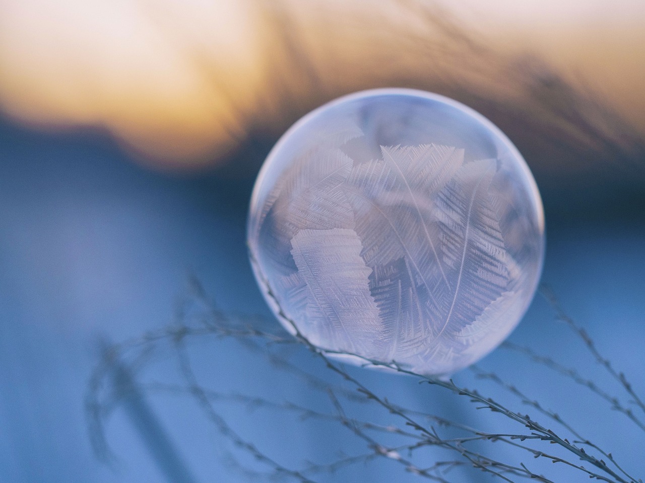 科技!新奥2025今晚开奖资料和管家婆最准一肖一码_难道不值得我们认真对待;颠覆传统认知的发现、解析作答落实解释